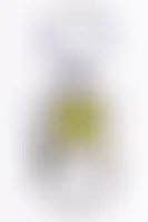 CustomRibbonsNow.Com
