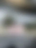 CustomRibbonsNow.Com