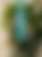 CustomRibbonsNow.Com