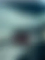 CustomRibbonsNow.Com
