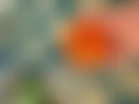 CustomRibbonsNow.Com