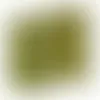 Elm Green