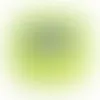 Lime Green - Custom Ribbons Now