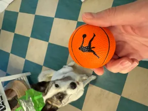 CustomRibbonsNow.Com