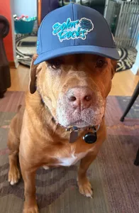 CustomRibbonsNow.Com - Full Color TPU