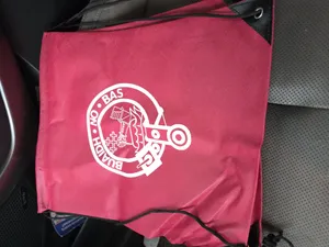 CustomRibbonsNow.Com - Custom Non-Woven Drawstring Bag