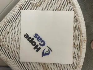 CustomRibbonsNow.Com - Custom Paper Luncheon Napkins