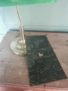 CustomRibbonsNow.Com - Custom Poly Mailer