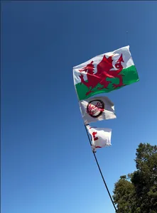CustomRibbonsNow.Com - Rectangle Flag