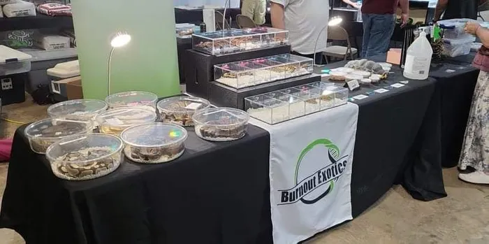 CustomRibbonsNow.Com