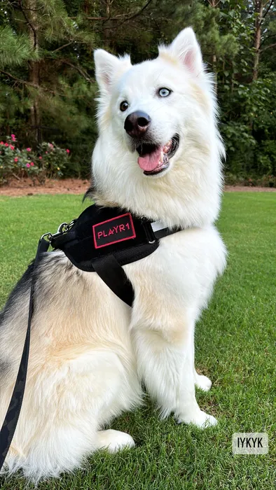 CustomRibbonsNow.Com