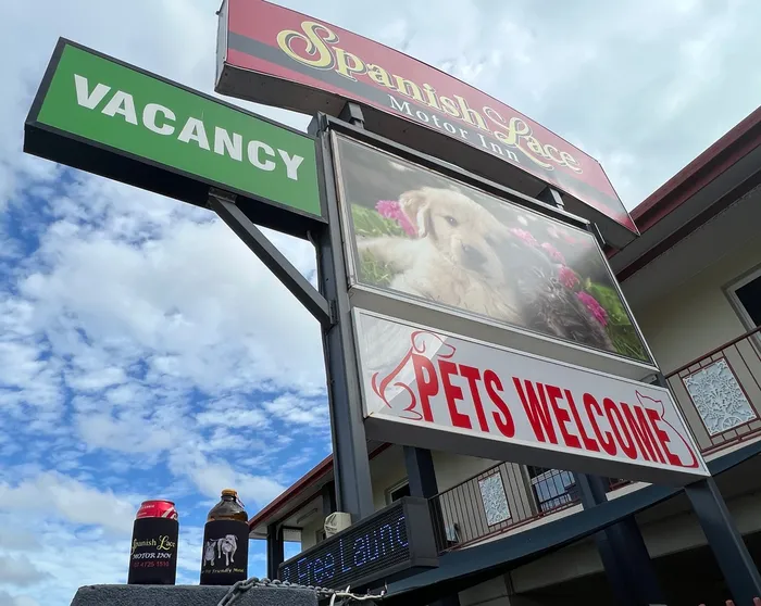 CustomRibbonsNow.Com - Full Color Collapsible