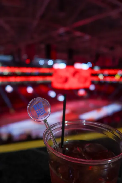 CustomRibbonsNow.Com - Transparent Stir Sticks