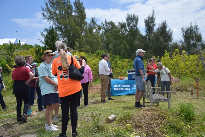 CustomRibbonsNow.Com - Custom Rectangle Table Covers