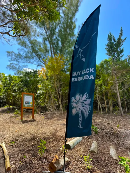 CustomRibbonsNow.Com - Feather Flag