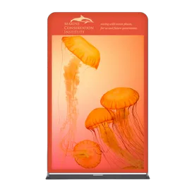 EZ Extend Displays - Custom Ribbons Now