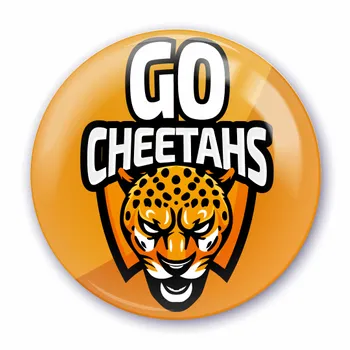 Buttons - Custom Ribbons Now