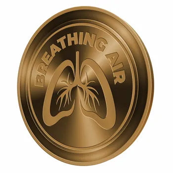 Challenge Coins - Custom Ribbons Now