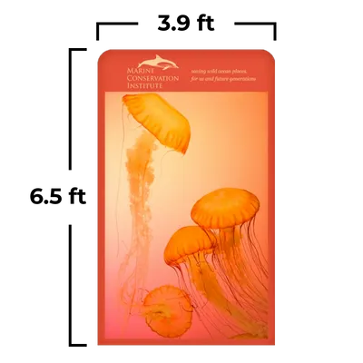 3.9 x 6.5 ft - Custom Ribbons Now