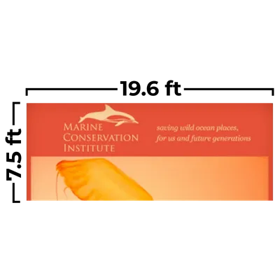 19.6 x 7.5ft - Custom Ribbons Now