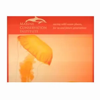 None - Custom Ribbons Now