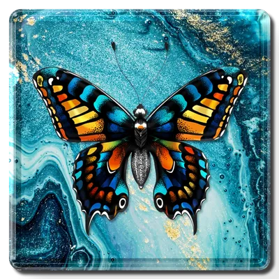 Square - Custom Ribbons Now