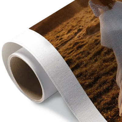 Rolled Canvas Rolled Canvas - Custom Ribbons Now