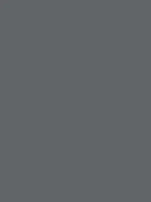 Cool Gray 10 Cool Gray 10 - Custom Ribbons Now
