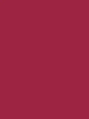PMS 194 PMS 194 - Custom Ribbons Now