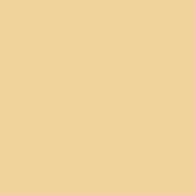 Warm White - Custom Ribbons Now