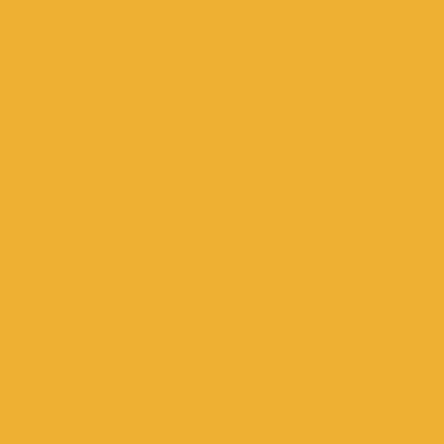 Orange - Custom Ribbons Now