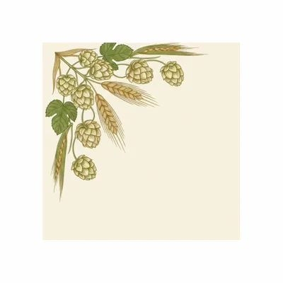 Standard - Custom Ribbons Now