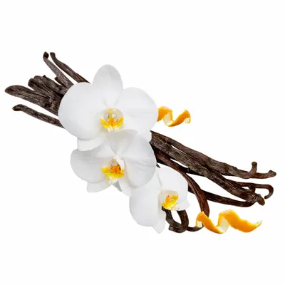 Vanilla - Custom Ribbons Now