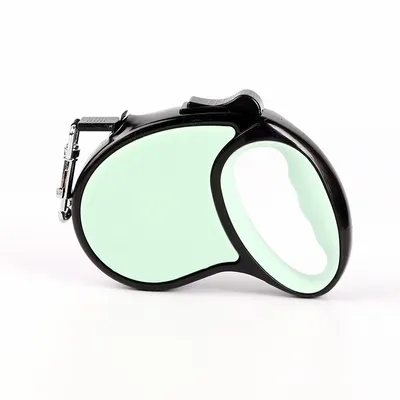 Mint Green - Custom Ribbons Now