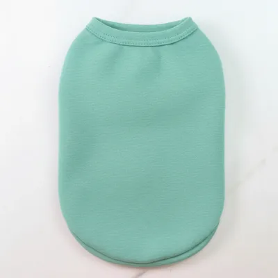 Mint Green - Custom Ribbons Now