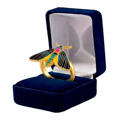 Blue Velvet Box - Custom Ribbons Now