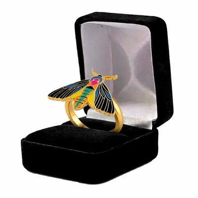 Black Velvet Box - Custom Ribbons Now