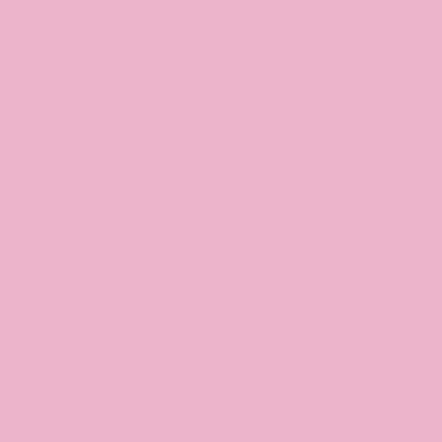 Light Pink - Custom Ribbons Now