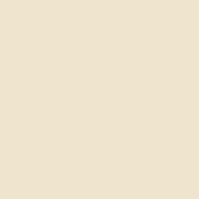 Ivory - Custom Ribbons Now