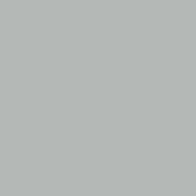 Light Gray - Custom Ribbons Now