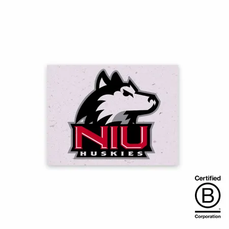 Seed Paper Panel Cards - Custom Ribbons Now