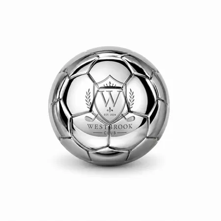 Soccer Ball Stainless Steel Ice Cubes - Custom Ribbons Now