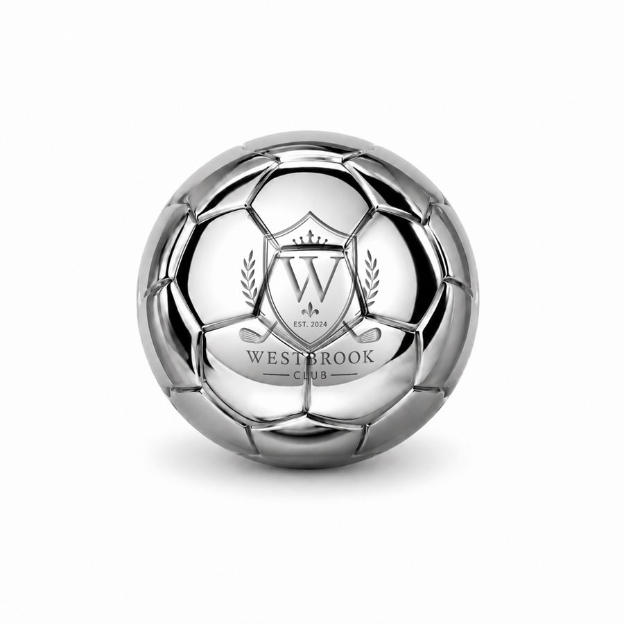 Soccer Ball Stainless Steel Ice Cubes - Custom Ribbons Now